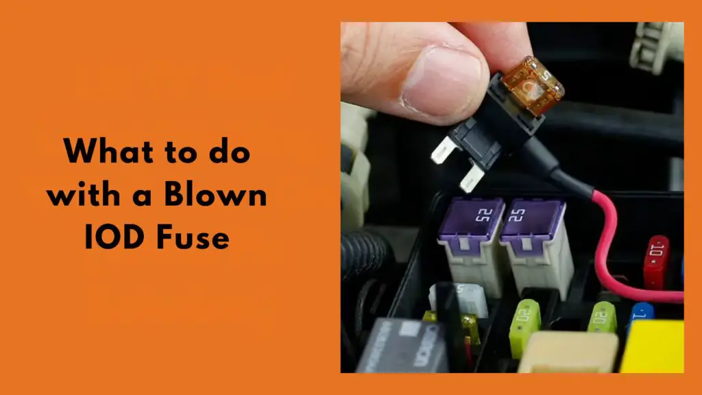 What is Controlled By The Iod Fuse (Complete Guide)